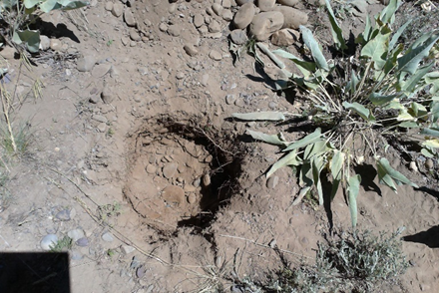 Hole dug in glacial till 2ft wide, 3ft deep