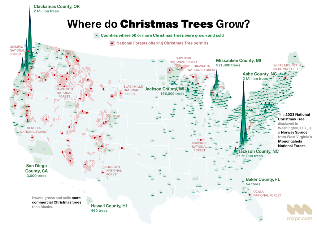 Map of Christmas Trees in US